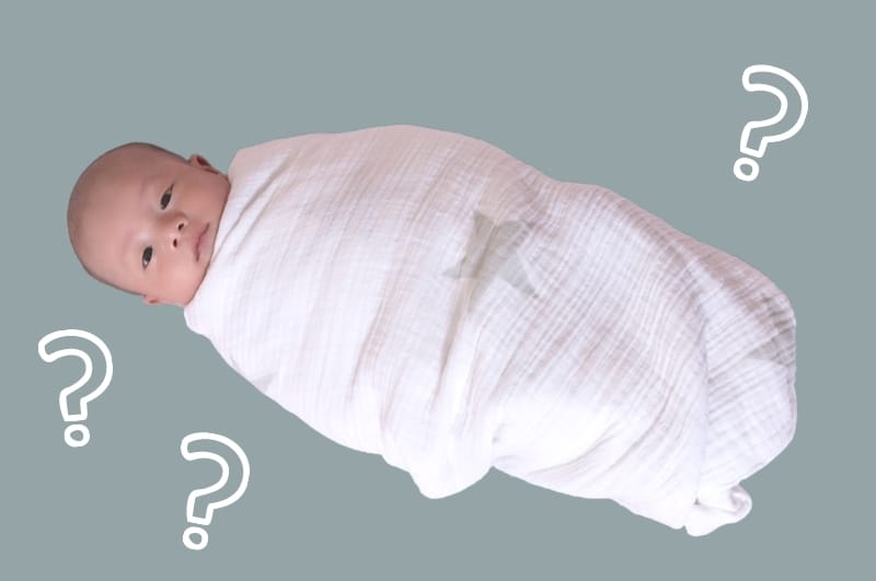 swaddle transition questions