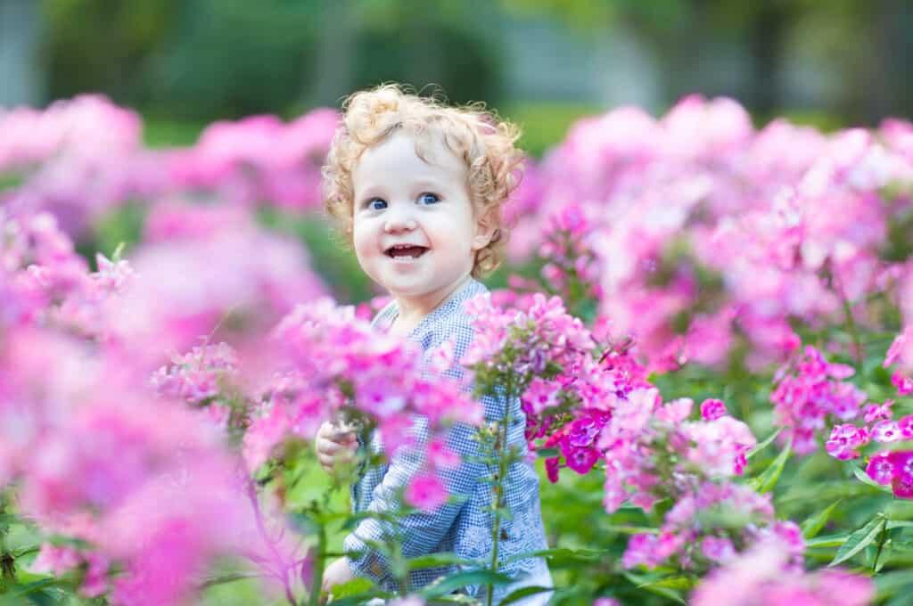 Nature-inspired girl names that start with A