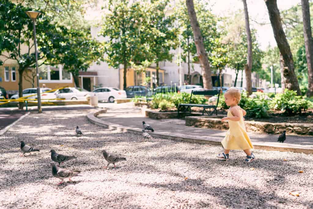 baby girl yellow dress chasing city pigeons
