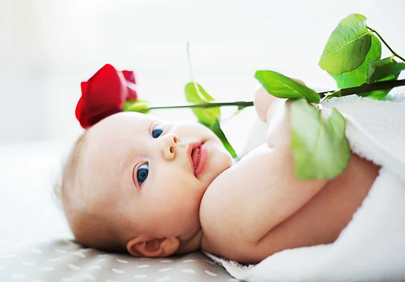 baby with red rose