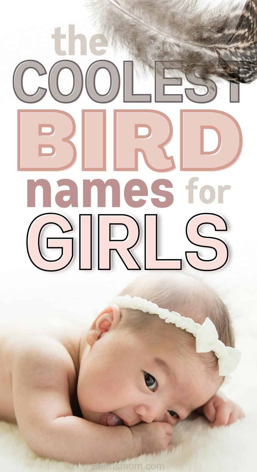 bird names for girls pin