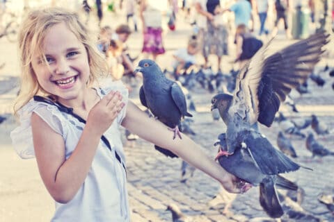 Bird Names for Girls: 100+ Ethereal Ideas for 2025