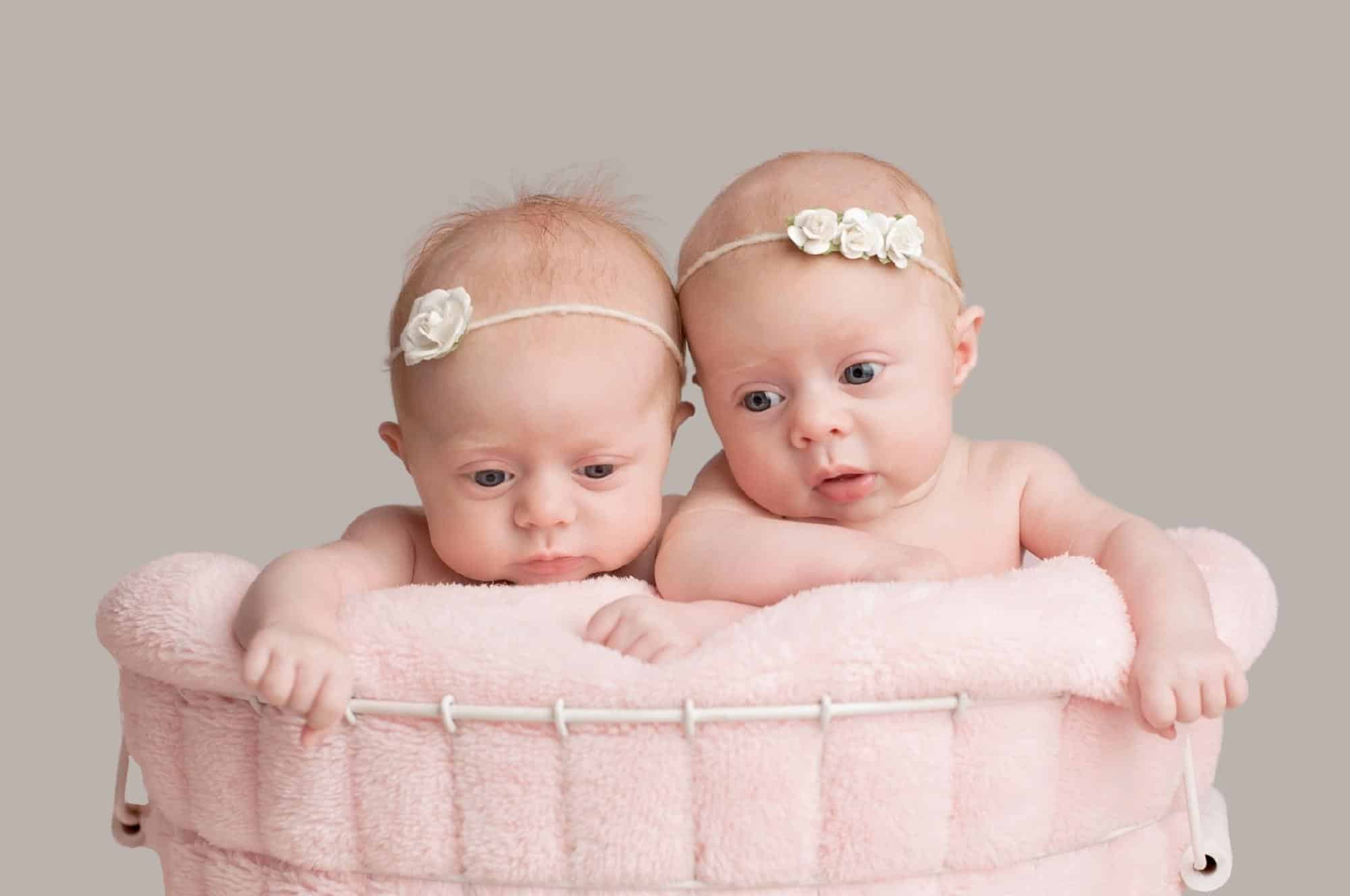 twin baby girls in basket