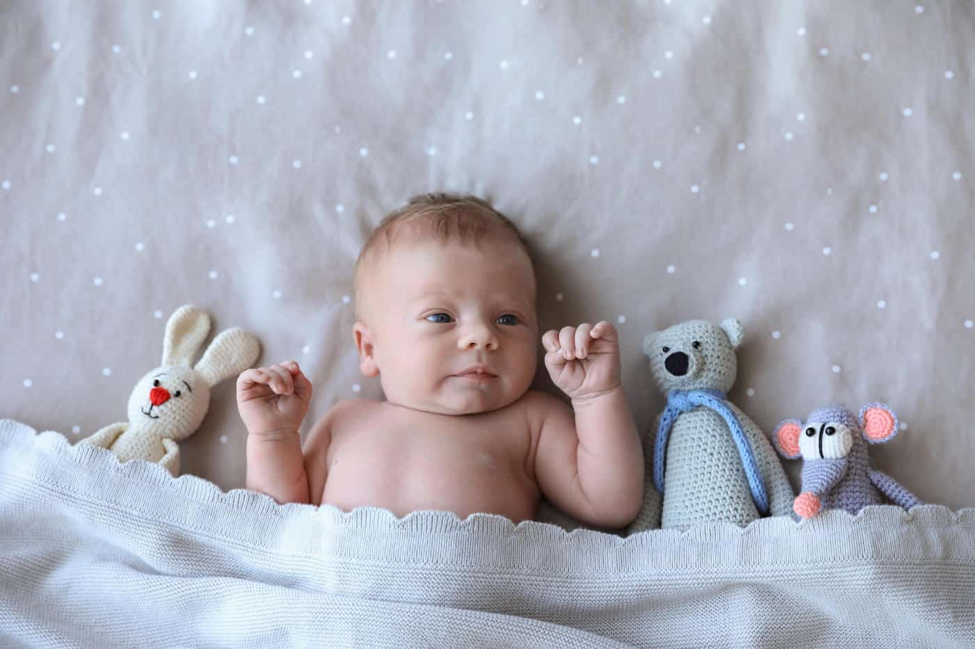 newborn boy under covers stuffed animals
