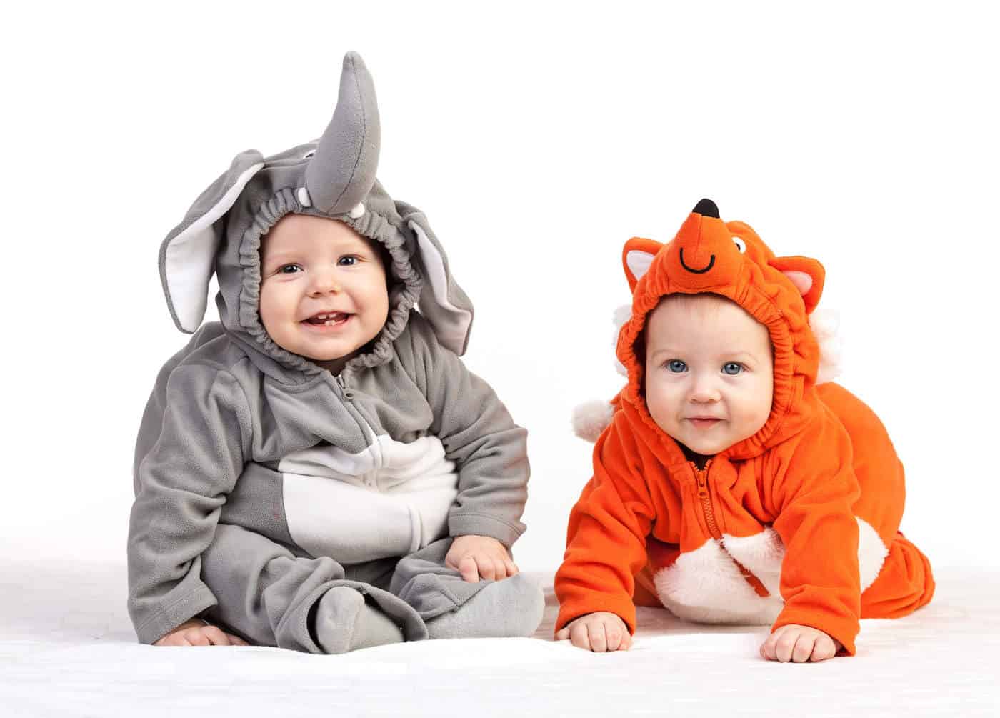 baby boys in animal costumes elephant fox