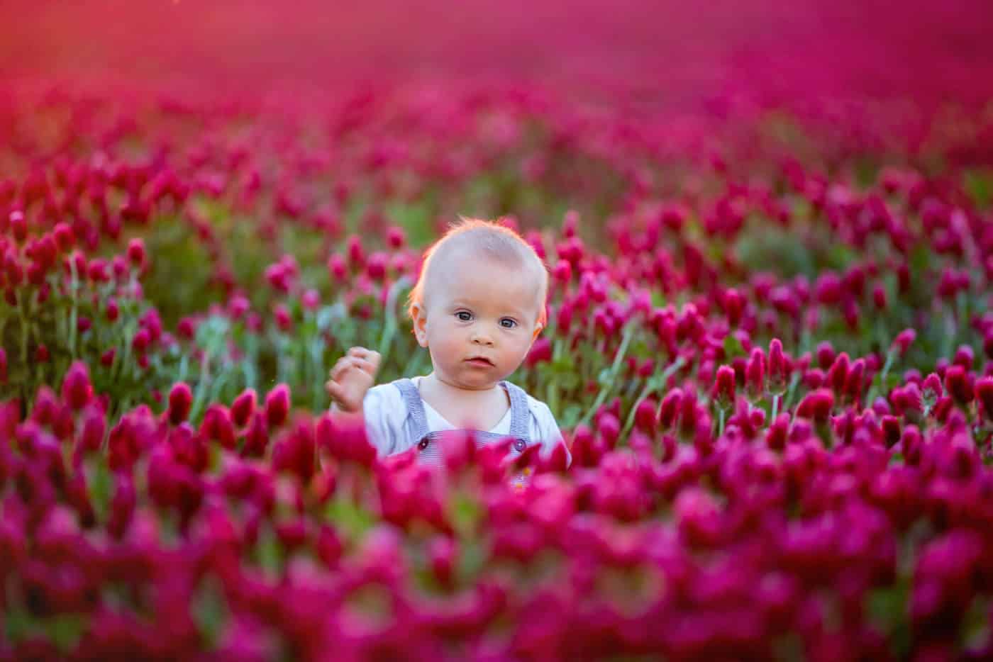 baby boy in field of flowers