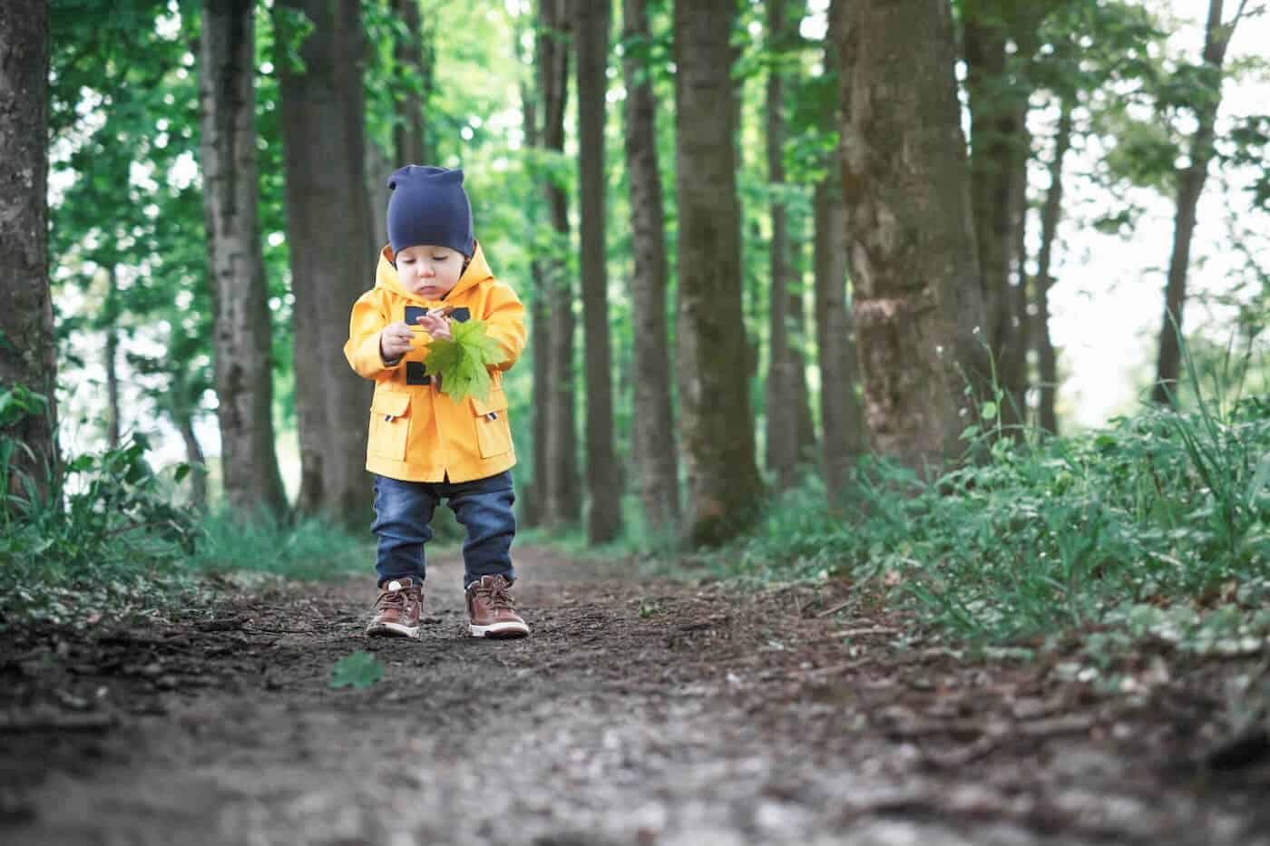 little boy walking amongst trees holding leaf