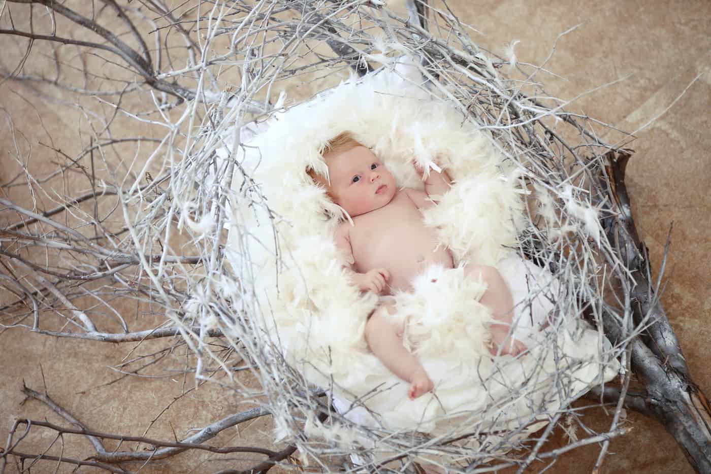 baby boy in birds nest feathers
