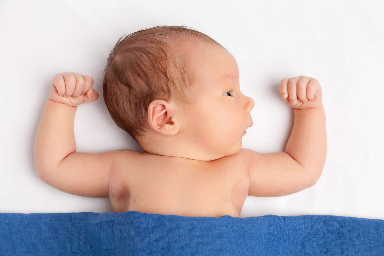 strong newborn baby boy  making muscles