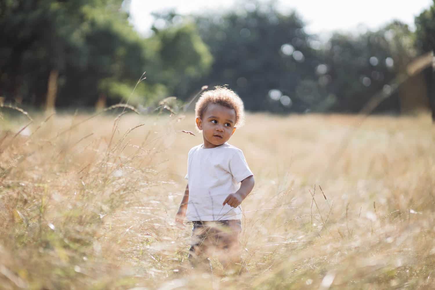 little boy in dry field nature