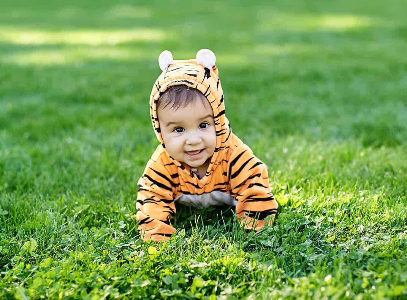 baby boy dressed as a tiger