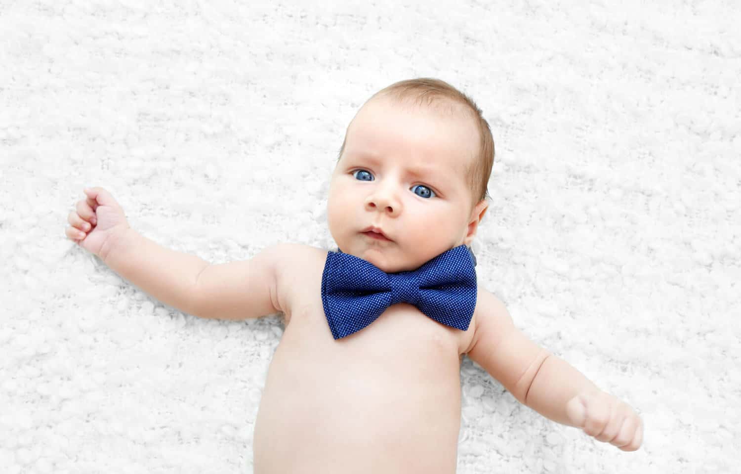 fancy baby boy in blue bow tie